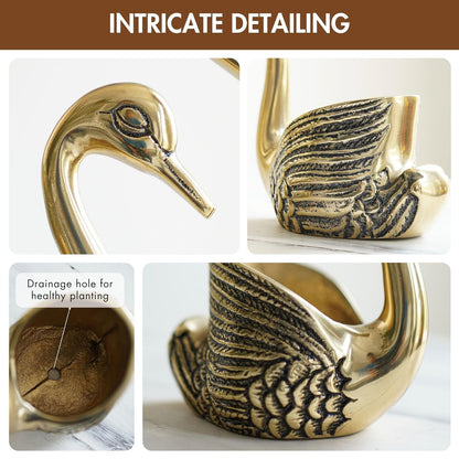 Luxeberry Aluminium Pair of Swans with Gift Box for Good Luck | Feng Shui Love Gifts Candle Holder for Home Decor Living Room | Showpiece Anniversary Wedding Gifts for Couple (Candles not Included) Gold